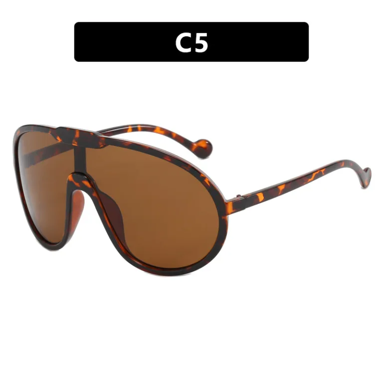 Toad sunglasses 2023 new European and American large-frame integrated sunglasses cross-border outdoor windproof sunglasses street photography - Image 5
