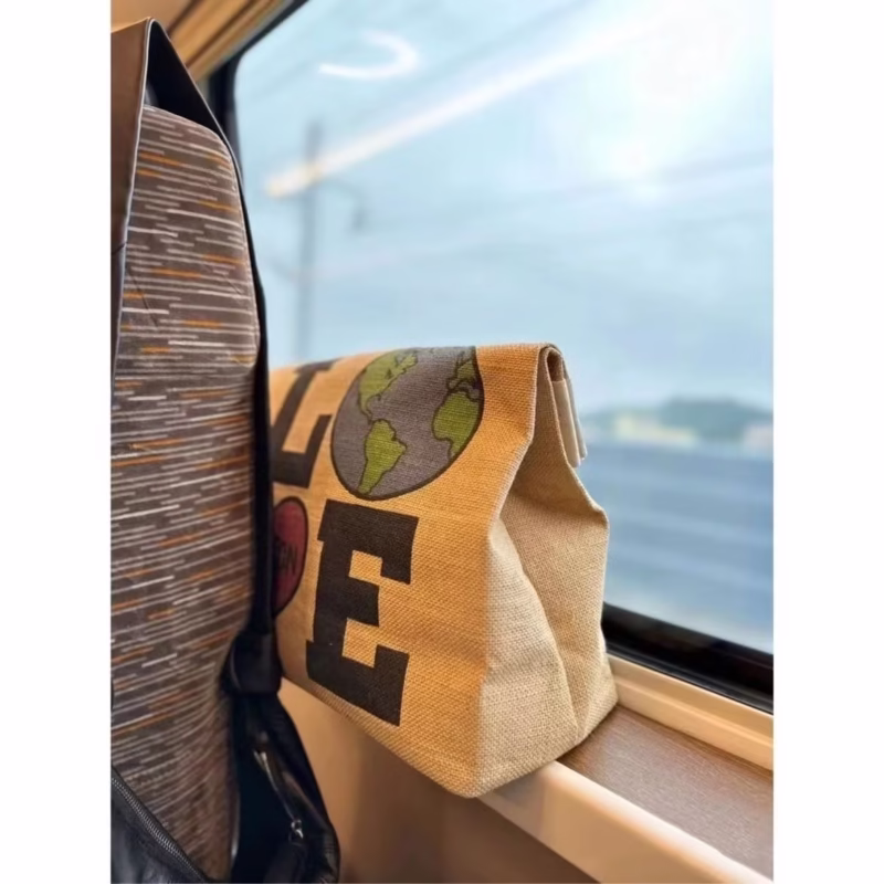 New 2024 hand-held canvas bag mommy outing bag simple versatile one-shoulder lunch box bag handbag hand-carrying to work - Image 4
