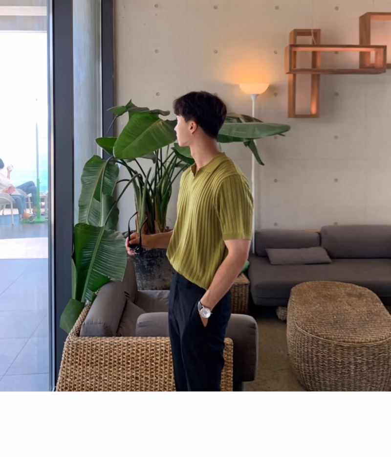 Summer striped shortsleeved POLO cedar men's Korean version slim lapel solid color casual thin short-sleeved trendy knitted top - Image 5